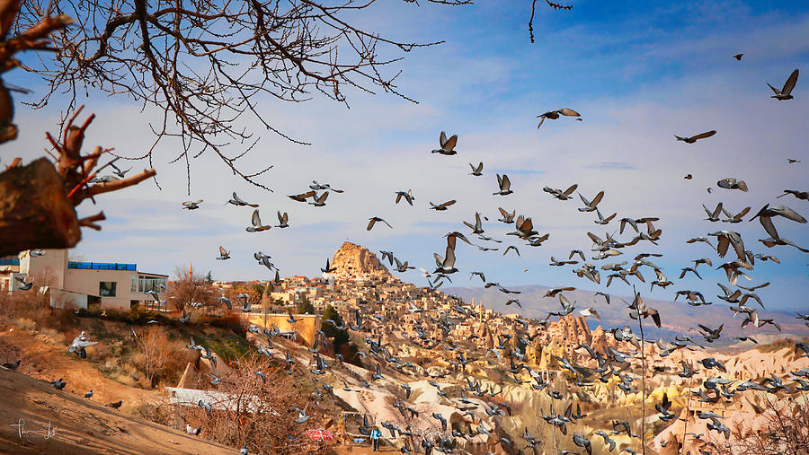 Pigeon Photograph - Pigeon Valley, Cappadocia - Turkey by Thomas Ly