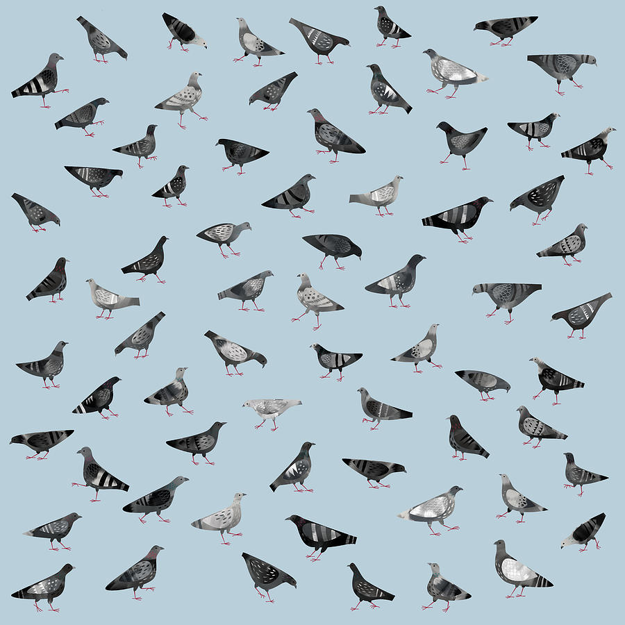 Pigeon Painting - Pigeons Doing Pigeon Things by Nic Squirrell