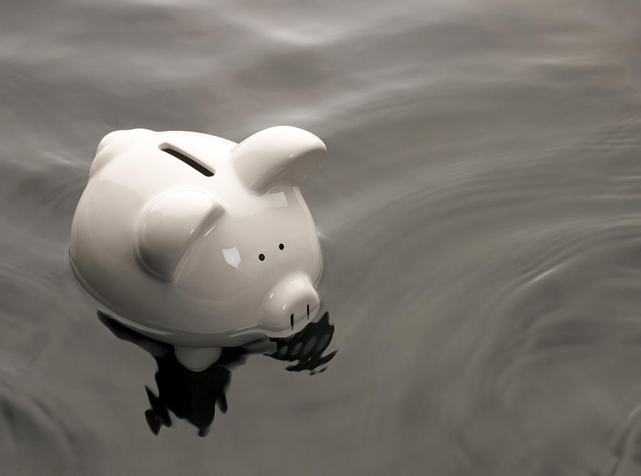 Piggy Bank in water Photograph by Tony Cordoza