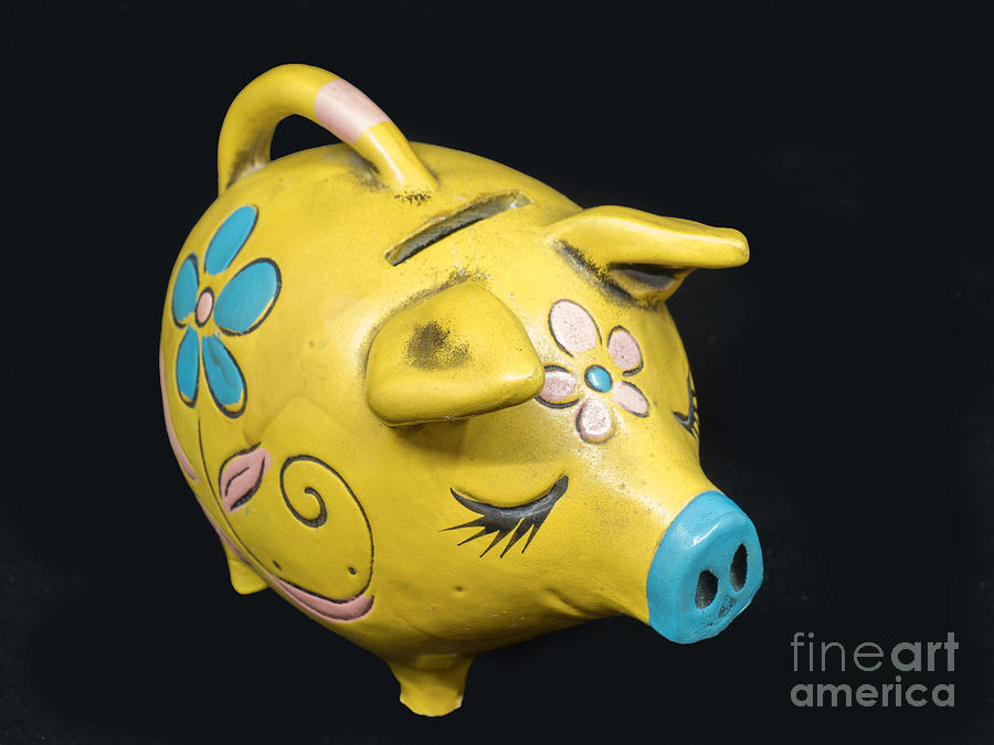 Piggy Bank Photograph by L Bosco