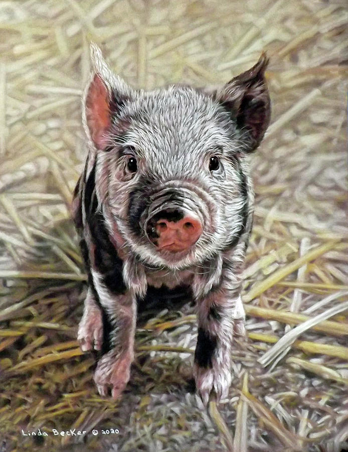 Piglet Painting by Linda Becker