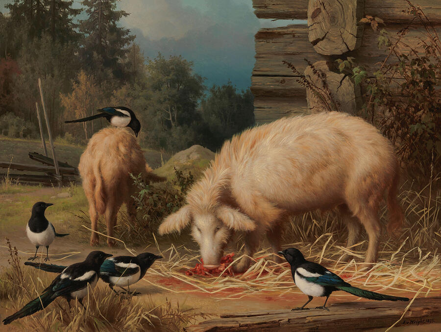 Magpies Painting - Pigs and Magpies by Ferdinand von Wright by Mango Art
