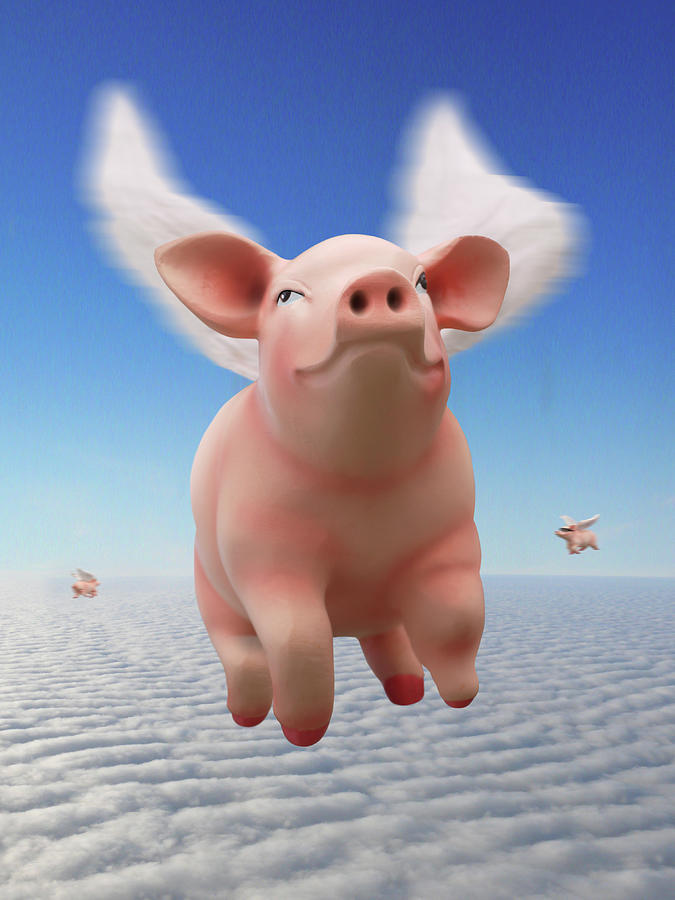 Pig Photograph - Pigs Fly V by Mike McGlothlen