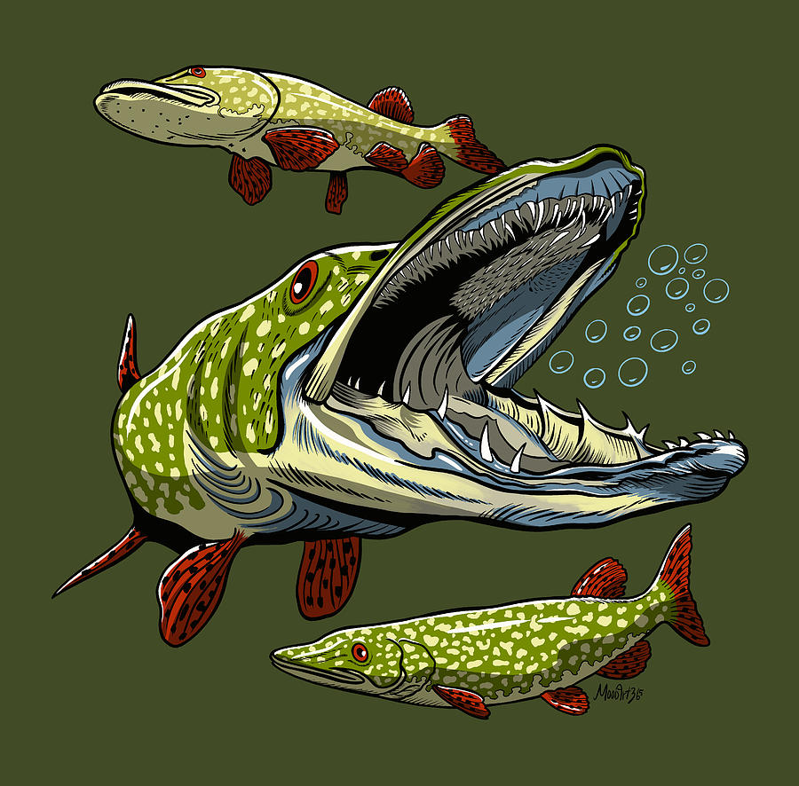 Pike fish. Fishing is a hobby for the whole family. Good food, pure nature camping area. Shop Art by MoodArt365