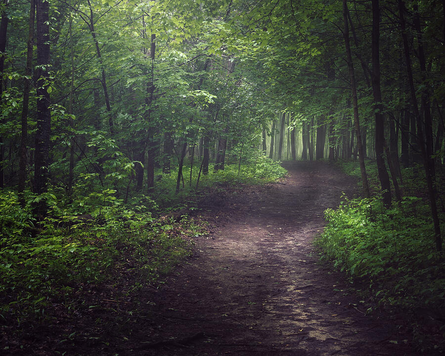 Pike Lake Path 2 Photograph by Scott Norris - Fine Art America