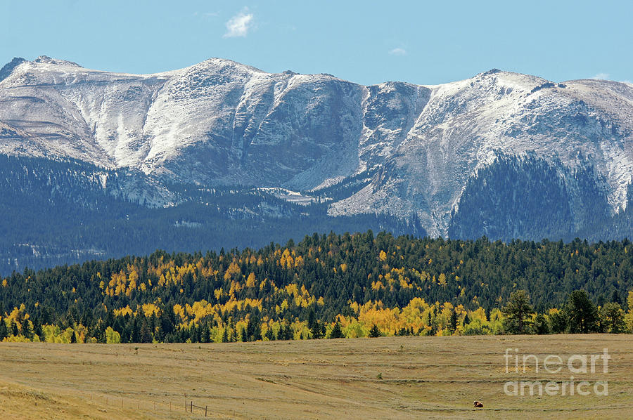 Pikes Peak Fall CO Photograph by Steve Speights
