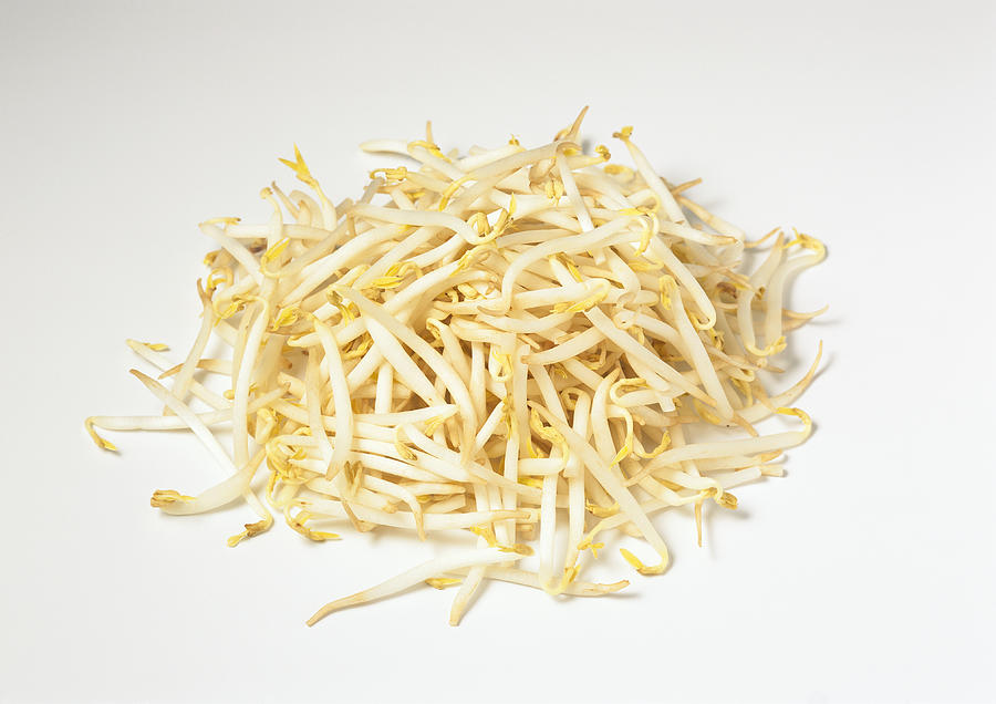 Pile of bean sprouts Photograph by Isabelle Rozenbaum