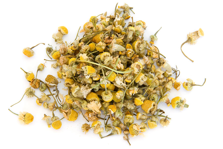 Pile of chamomile on white Photograph by Alina555