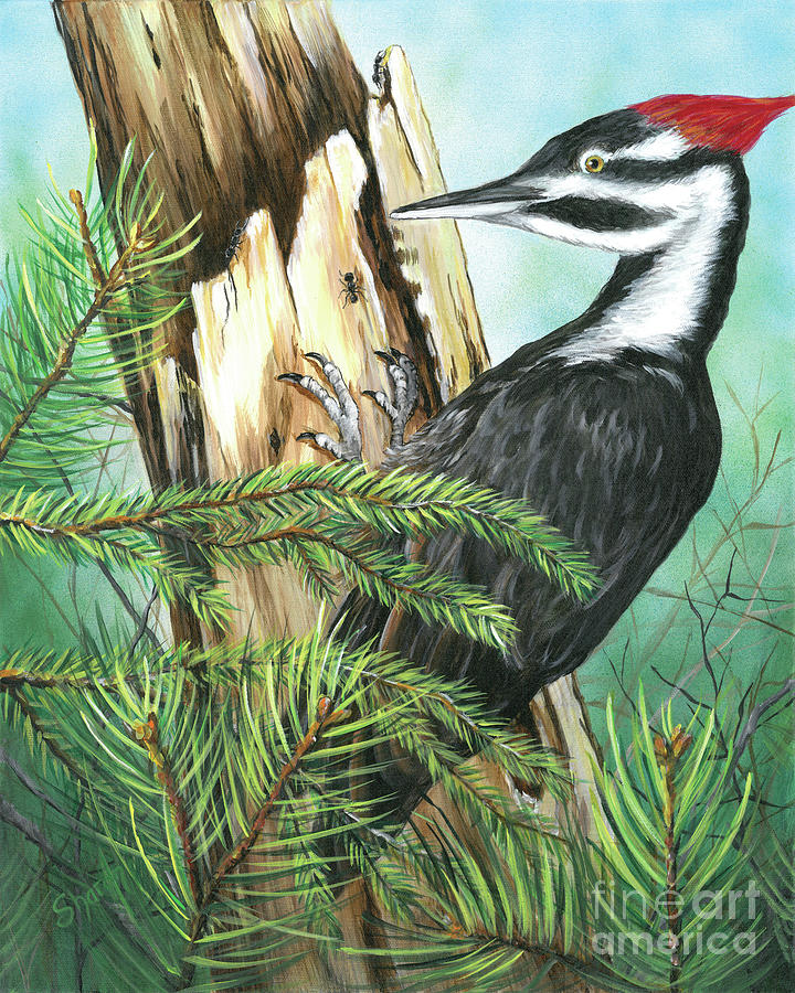 Pileated Lunch Painting by Sharon Molinaro