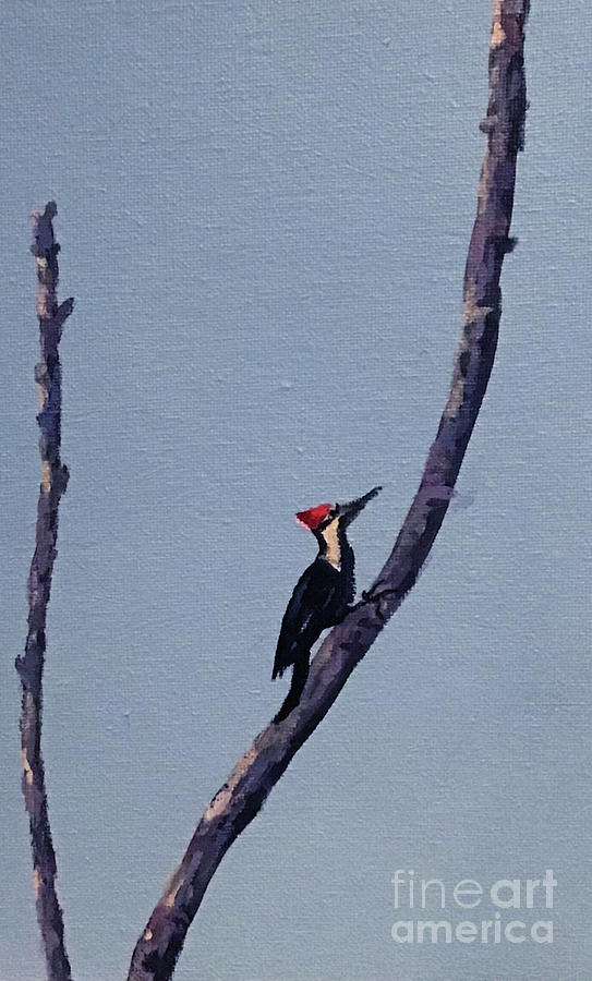 Pileated Woodpecker Painting by Anne Marie Brown