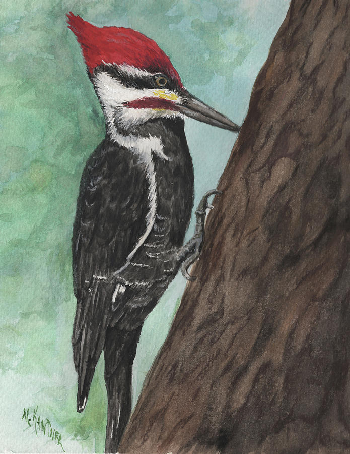 Pileated Woodpecker Painting by Melodie Kantner