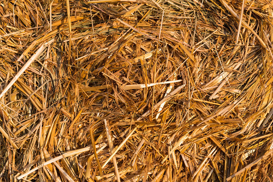 Piled hay bales Photograph by R.Tsubin