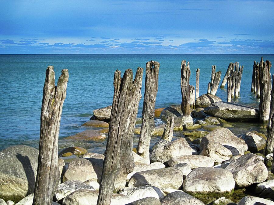 Pilings 7 031224 Photograph by Mary Bedy