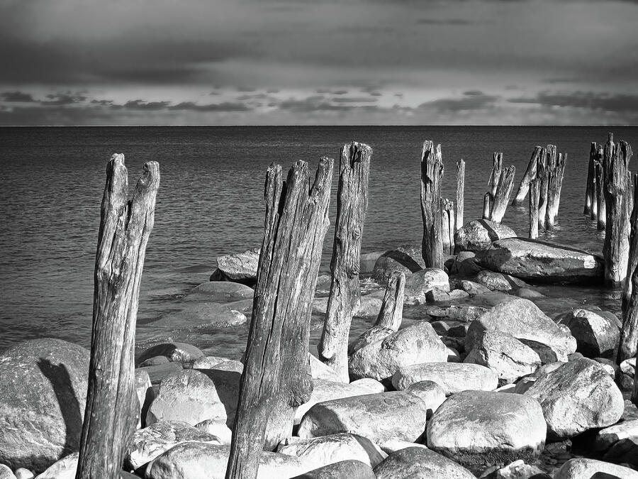Pilings 7 BW 031224 Photograph by Mary Bedy