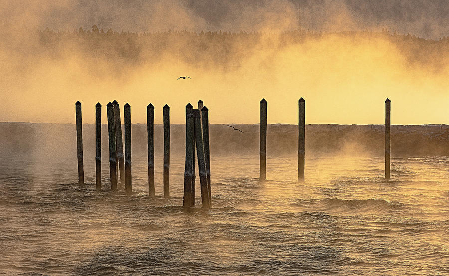 Pilings and Sea Smoke Photograph by Marty Saccone