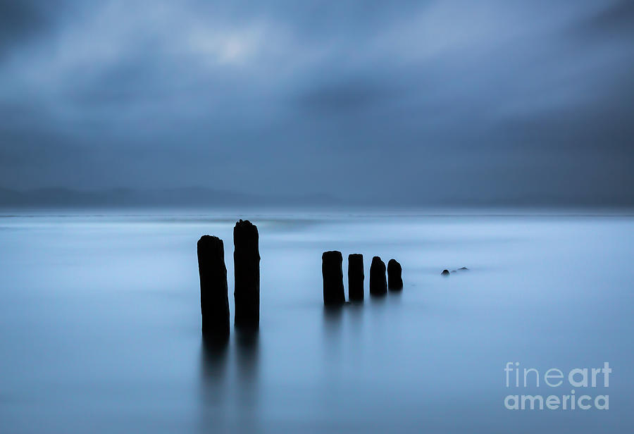 Derek Rees Pilings Photograph by Derek Rees - Fine Art America