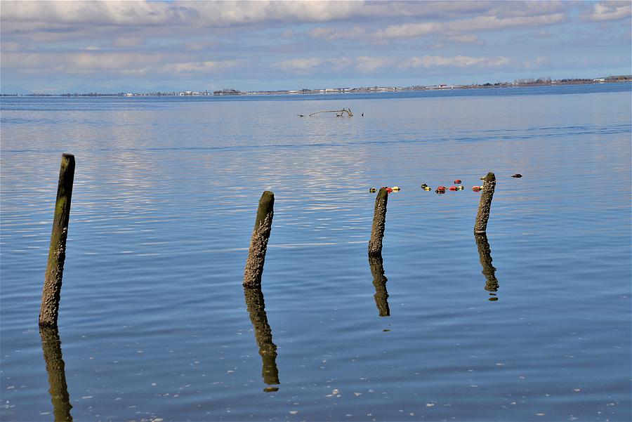 Pilings in the Ocean Photograph by James Cousineau