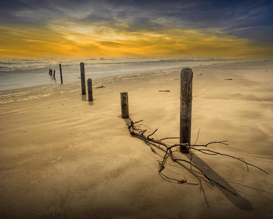 Pilings on the Beach at Sunset on Padre Island Photograph by Randall Nyhof