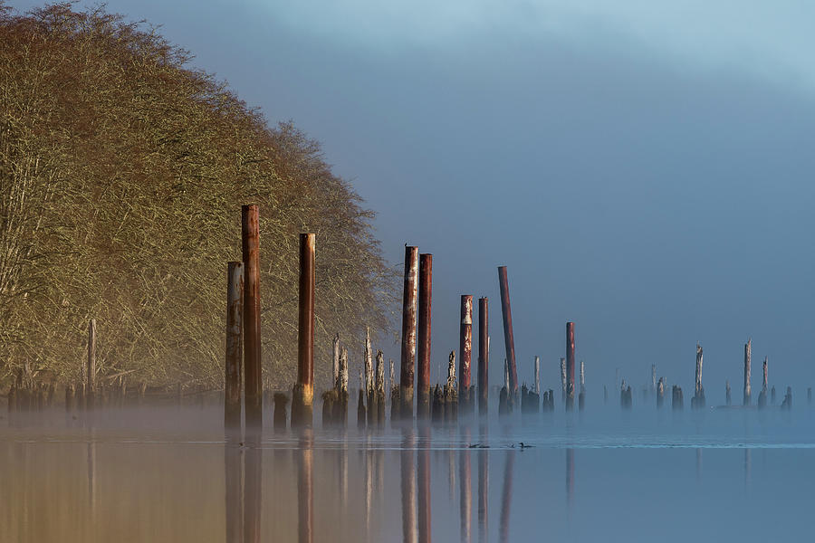 Pilings, Reflection and Fog Photograph by Robert Potts