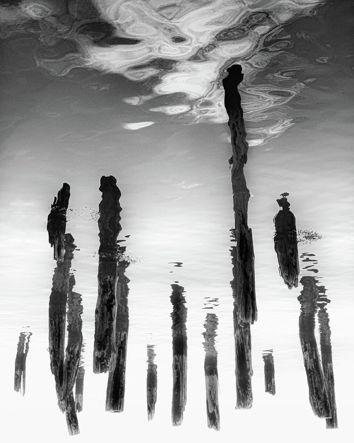 Pilings with Cloud Photograph by Joseph Smith