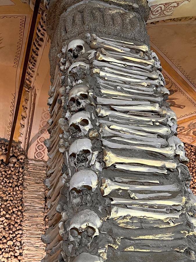 Skull Photograph - Pillar of Bones by Nancy Merkle