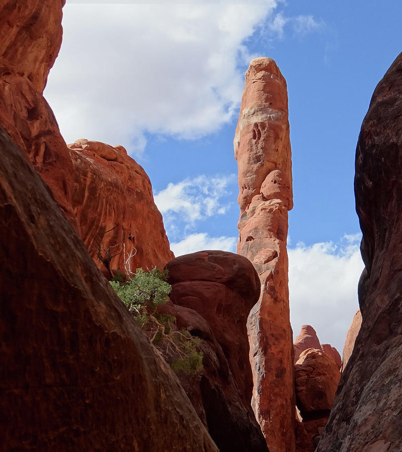 Pillar of Fire Photograph by William Moore | Fine Art America