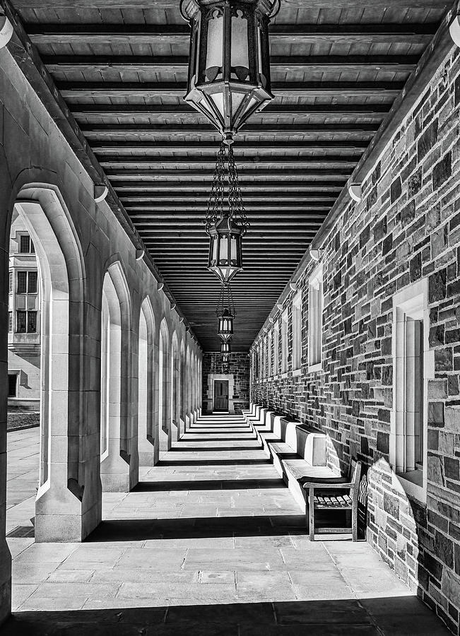 Pillared Path, Princeton University Photograph by Elvira Peretsman