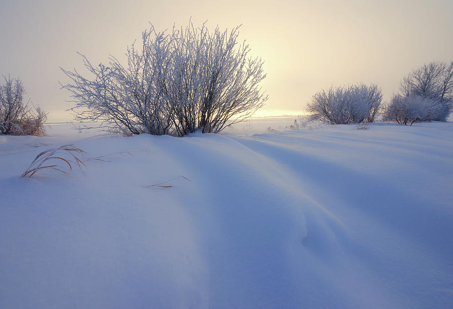 Pillowy Soft Snow Photograph by Dan Jurak