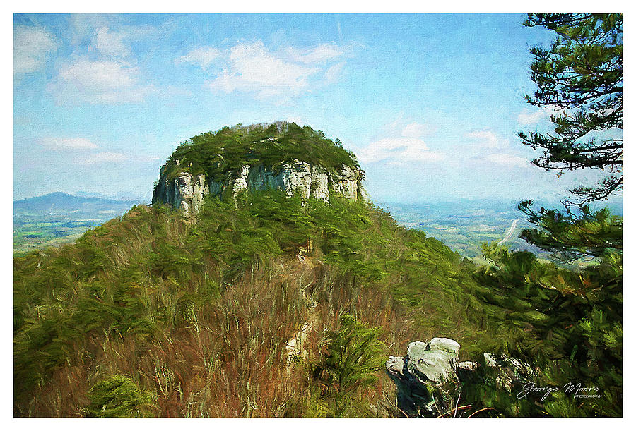 Pilot Mountain Photograph by George Moore