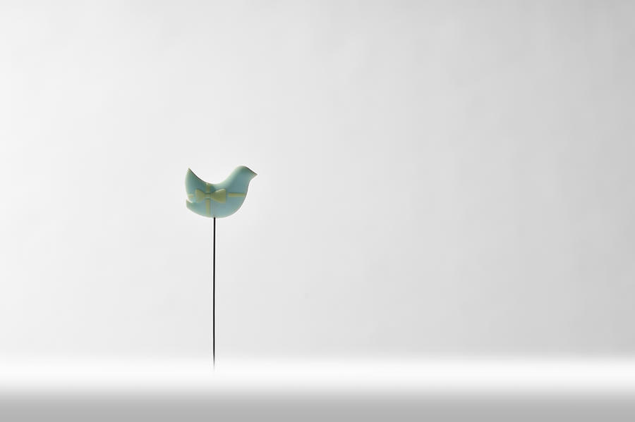 Pin in the shape of a bird Photograph by Yagi Studio