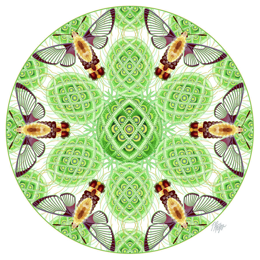 Mug Digital Art - Pincushion Clearwing Moth Mandala by Tim Phelps