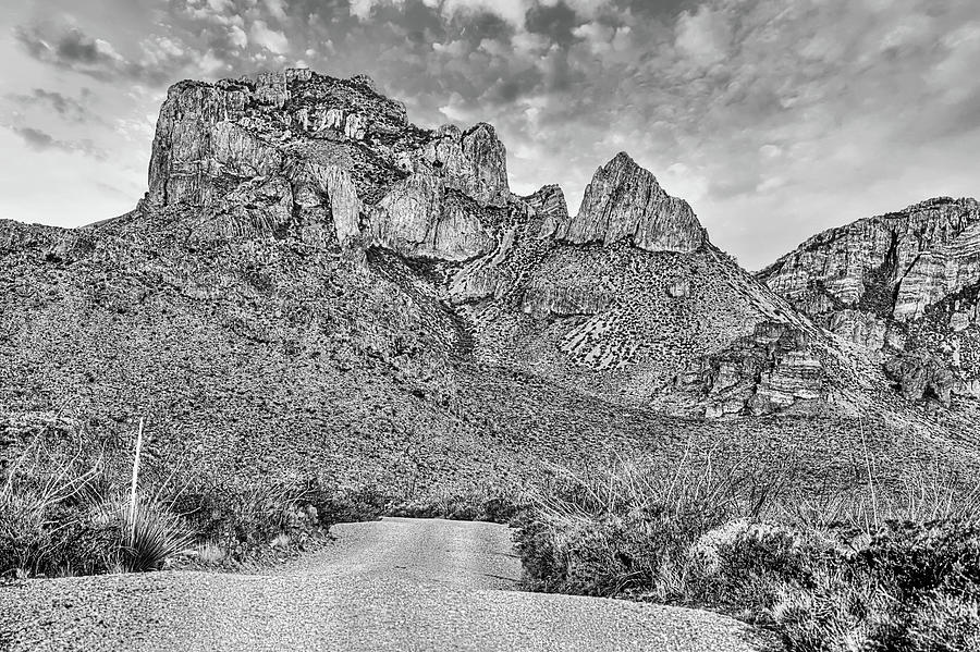 Pine Canyon Road Black and White Photograph by JC Findley