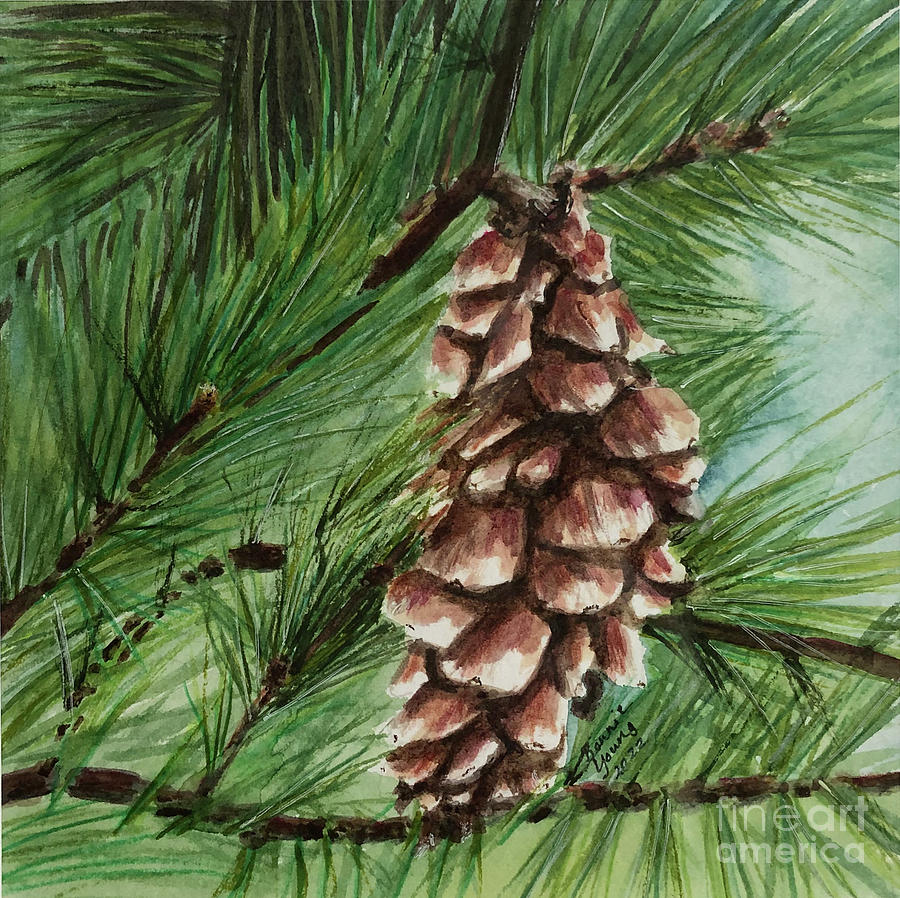 Pine Cone Painting by Bonnie Young
