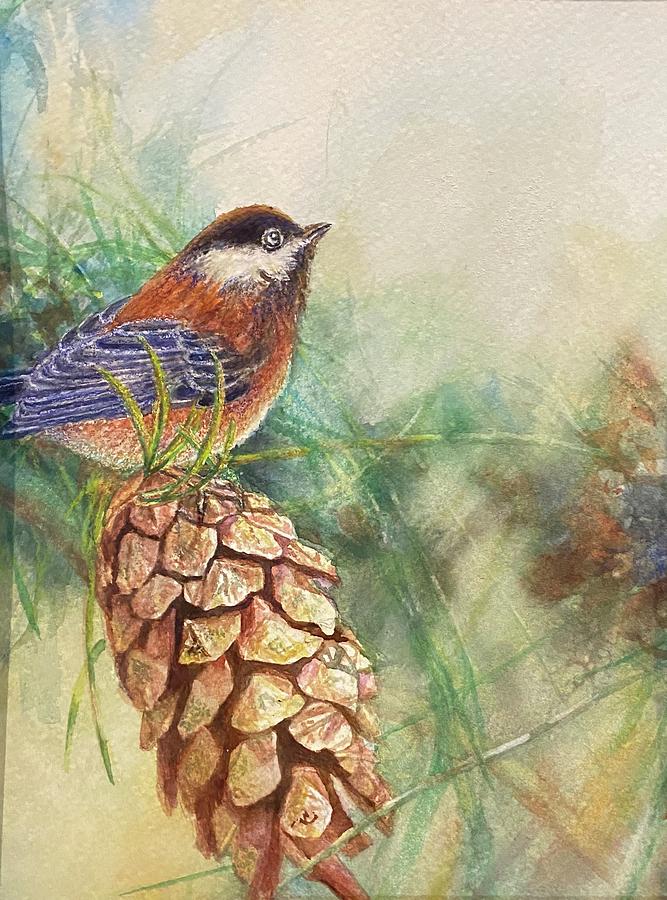 Pine cone perch Painting by Debbie Hornibrook