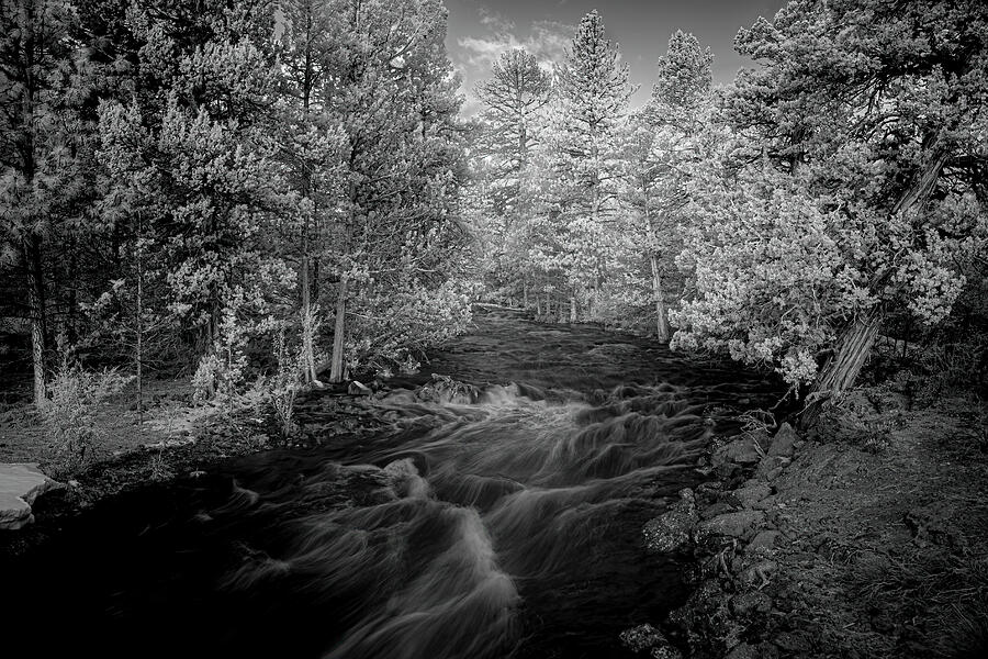 Pine Creek Infrared Photograph by Mike Lee