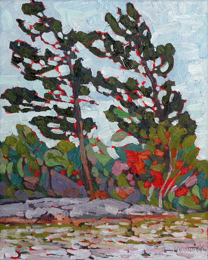 Pine Flags on Georgian Bay Painting by Phil Chadwick