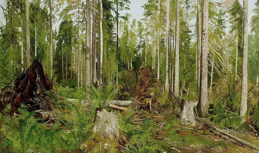 Pine Forest, date 1890s Painting by Ivan Shishkin Pine Forest, date 1890s Painting by Ivan Shishkin