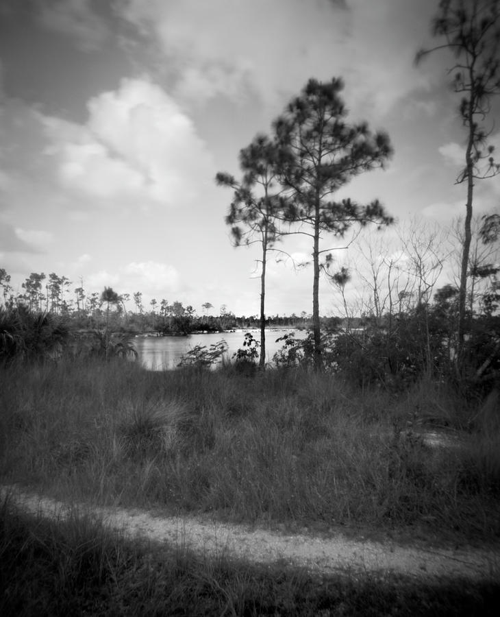 Pinhole Pine Glades Lake - 3- Everglades Photograph by Rudy Umans
