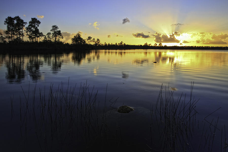 Pine Glades Lake Sunset Photograph by Justinreznick