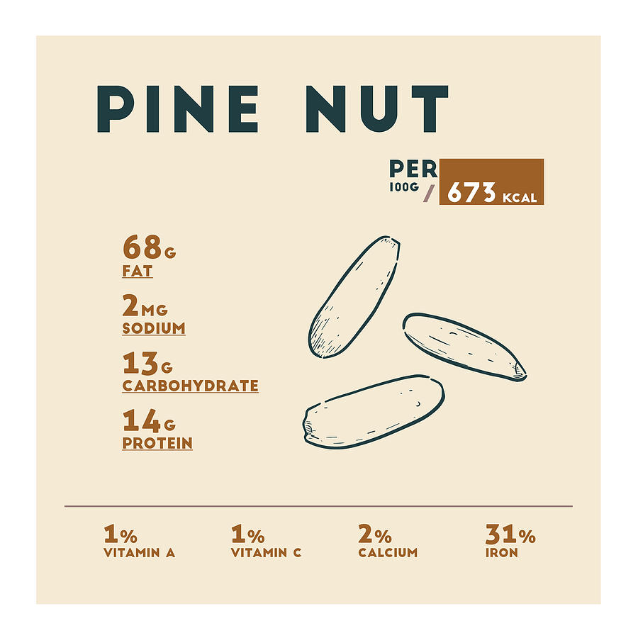 pine-nut-nutrition-facts-drawing-by-beautify-my-walls-pixels