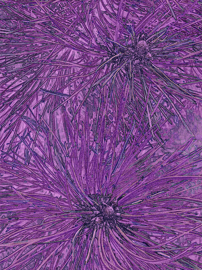Pine tree abstract in purple Mixed Media by Francine Rondeau