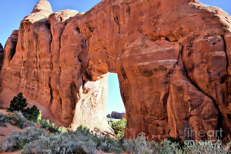 Pine Tree Arch at Arches National Park Photograph by John Stone - Fine ...