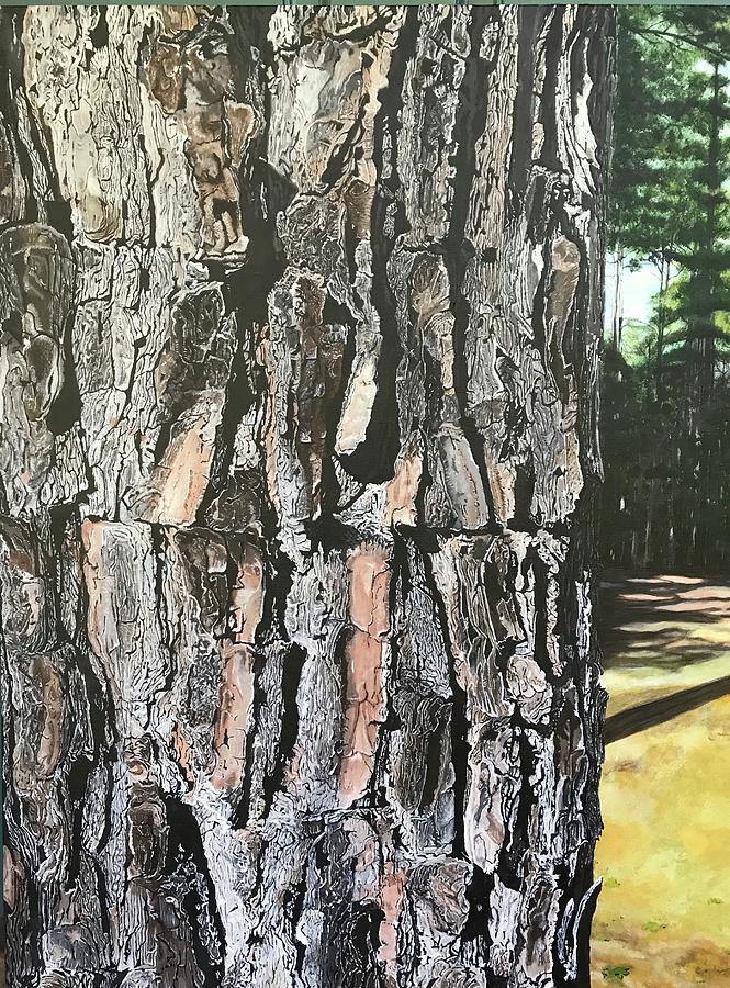 Pine Painting - Pine Tree by Boots Quimby