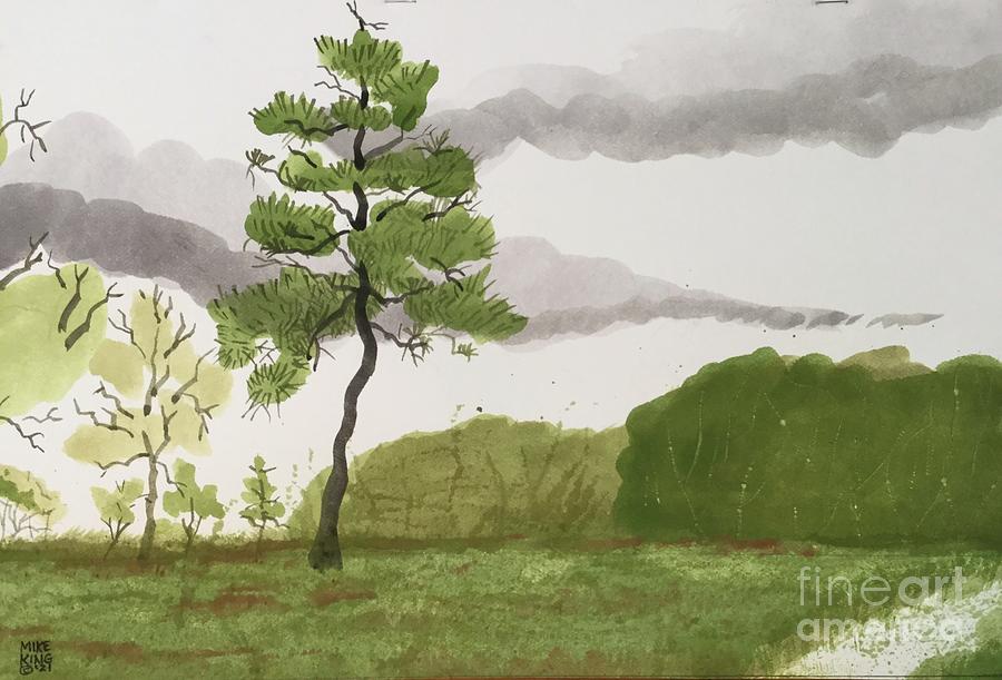 Pine Tree Myakka River State Park Fl Painting