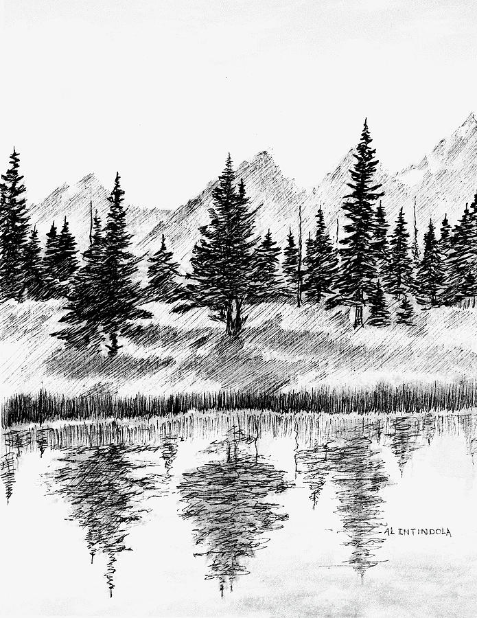 Pine Trees Drawing by Al Intindola Fine Art America