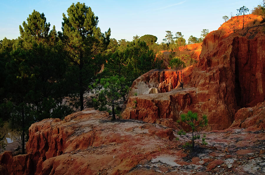 Pine Trees on Red Cliffs Valley Photograph by Angelo DeVal