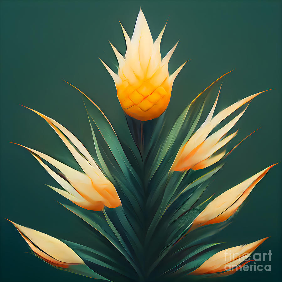 Pineapple Bloom Drawing by Jirka Svetlik