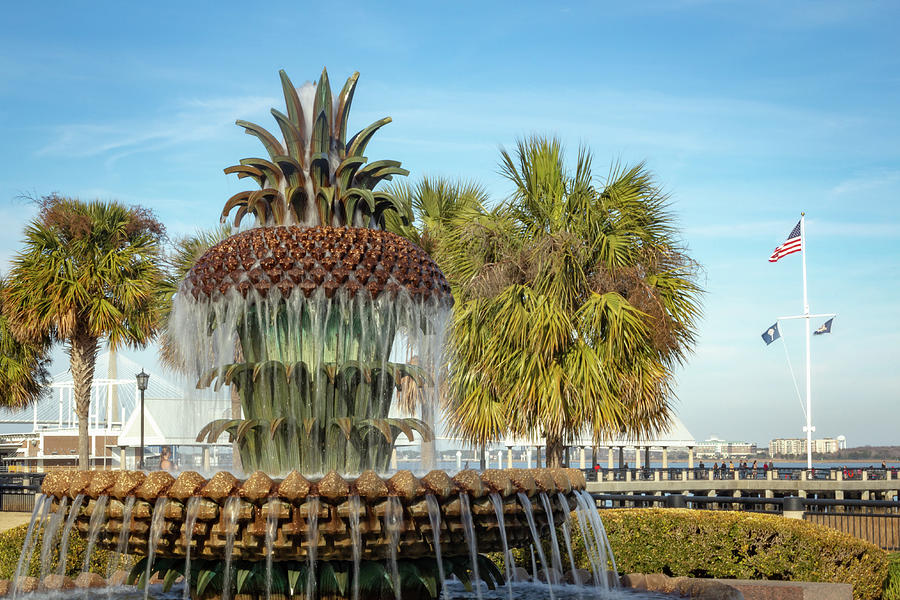 Pineapple Fountain 6 Photograph by Cindy Robinson