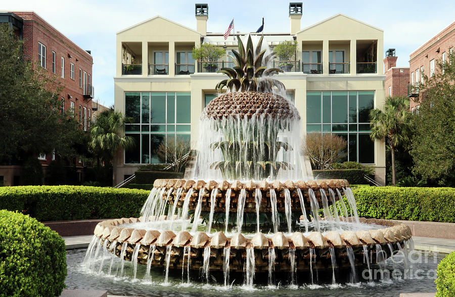 Pineapple Fountain 9780 Photograph by Jack Schultz