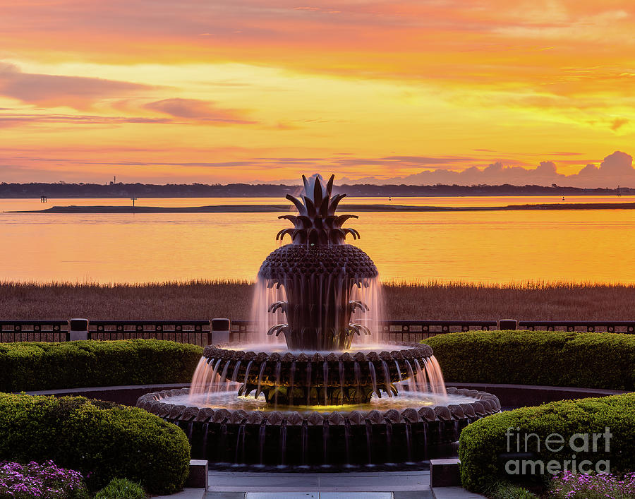Pineapple Fountain at Sunrise Photograph by Charles Hite
